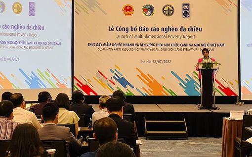 Thúc đẩy giảm nghèo nhanh và bền vững ở Việt Nam