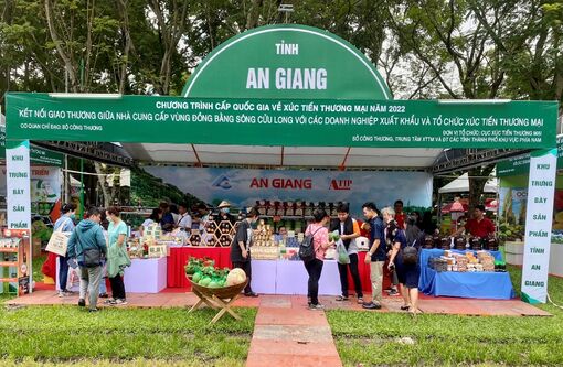 An Giang tham dự Hội nghị kết nối giao thương nhà cung cấp vùng ĐBSCL với các doanh nghiệp xuất khẩu và tổ chức xúc tiến thương mại năm 2022