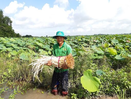 Nông dân Phú Hiệp quyết tâm làm giàu