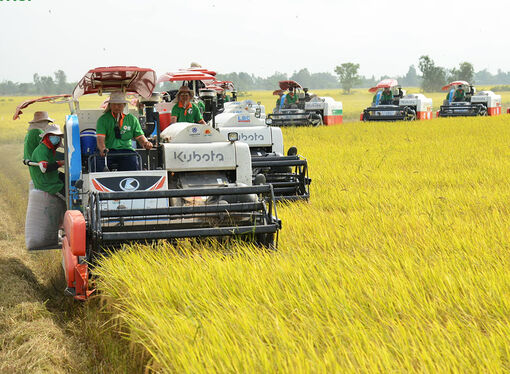 Nâng cao sức cạnh tranh các sản phẩm chủ lực của An Giang