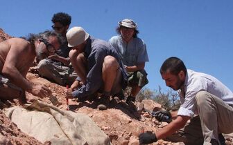 Phát hiện dấu tích của khủng long nhỏ thuộc dòng phiến sừng ở Argentina