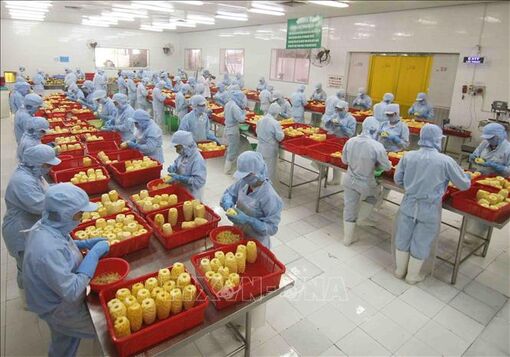 Kim ngạch thương mại Việt Nam - Lào khởi sắc trong 7 tháng đầu năm