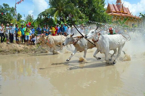 An Cư chăm lo đời sống thể thao đồng bào Khmer