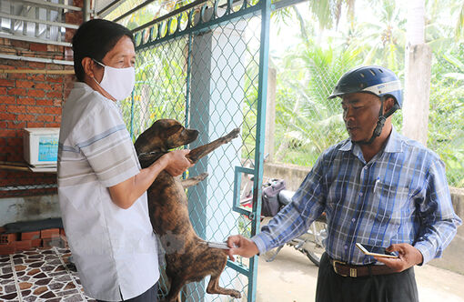 Bến Tre: Quyết liệt phòng chống và đẩy lùi bệnh dại