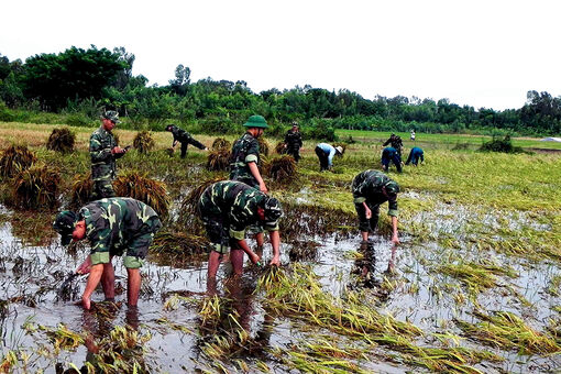 Ứng phó với thiên tai theo cách của An Giang