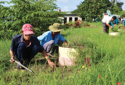 Dấu ấn cựu chiến binh trên đường quê