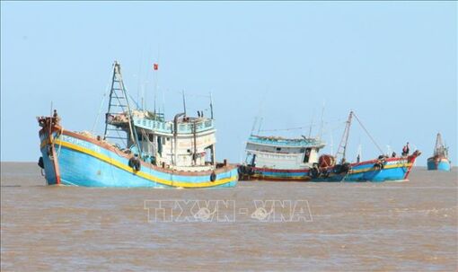 Bến Tre ngăn chặn tàu cá của tỉnh khai thác thủy sản trái phép ở vùng biển nước ngoài