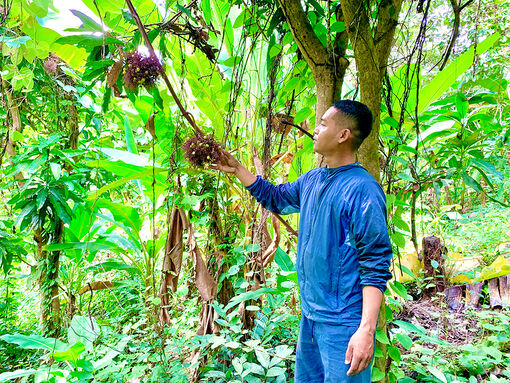 Chàng trai làm nông nghiệp thuận tự nhiên