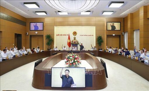 Thông qua dự án Pháp lệnh Xử phạt vi phạm hành chính hành vi cản trở hoạt động tố tụng