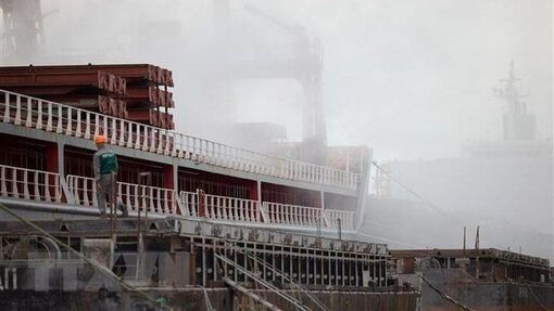 Duy trì tuyến xuất khẩu lương thực qua Biển Đen