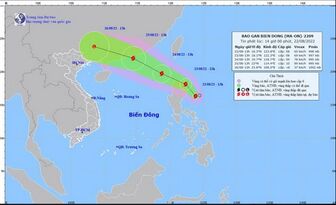 Các tỉnh, thành từ Quảng Ninh-Quảng Ngãi chủ động ứng phó với bão Maon