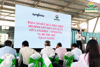 Angimex cùng Syngenta thực hiện thành công mô hình “Sản xuất lúa chất lượng ứng dụng công nghệ cao gắn với liên kết tiêu thụ sản phẩm”
