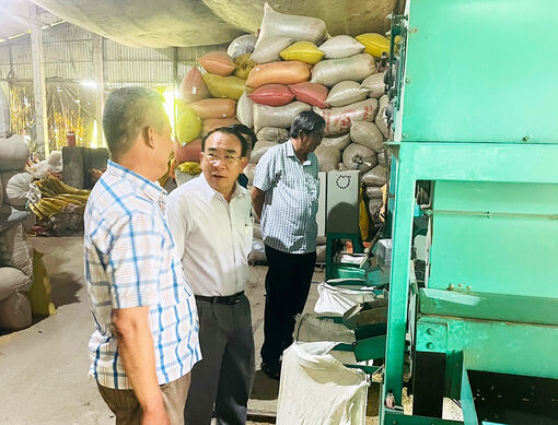 Bí thư Huyện ủy Tịnh Biên khảo sát hoạt động các hợp tác xã