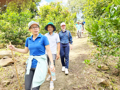 40 cán bộ, công chức các cơ quan, ban, ngành An Giang tham gia trekking núi Cấm