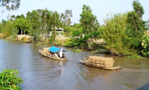 Sắc phù sa miền hạ