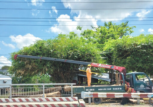 Đồng Tháp: Đề phòng nguy hiểm khi vận hành phương tiện cơ giới gần hành lang an toàn lưới điện cao áp