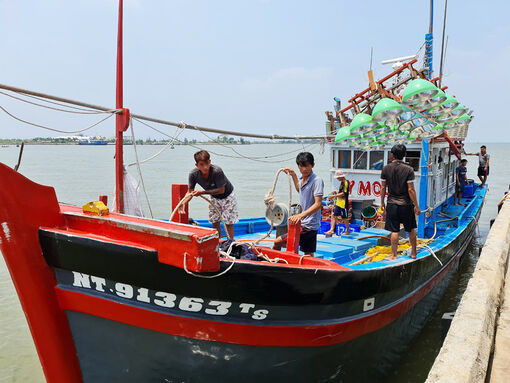 Hiểu đúng về kinh tế tập thể