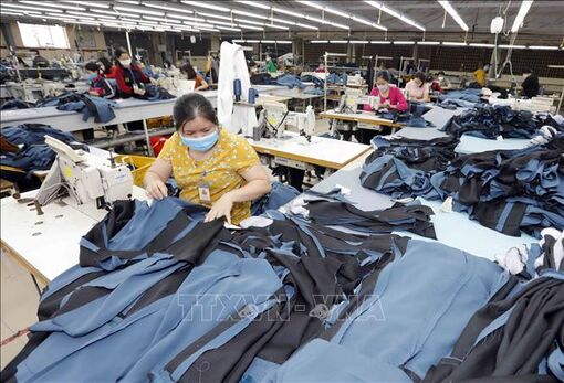 Dệt may - da giày thích ứng tiêu chuẩn xanh để tăng xuất khẩu vào EU