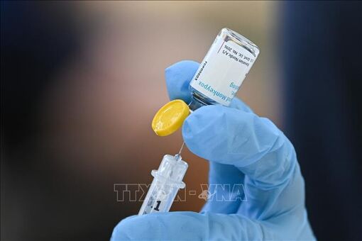 Anh phát hiện biến chủng thứ 2 của virus đậu mùa khỉ