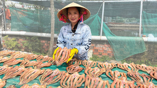 Phát triển thương hiệu khô cá lóc