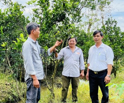 Vĩnh Long: Kinh tế- xã hội đạt nhiều kết quả tích cực