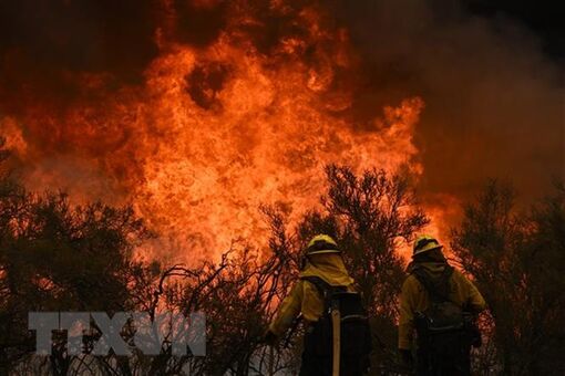 Mỹ: Cháy rừng tiếp tục lan rộng ở vùng núi miền Trung bang California