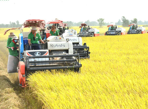 An Giang phát triển khoa học - công nghệ để bứt phá