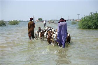 Pakistan thiệt hại 30 tỷ USD vì lũ lụt kỉ lục