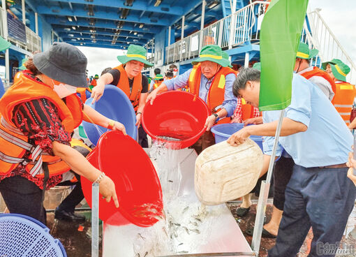 Chung tay tái tạo, bảo vệ nguồn lợi thủy sản