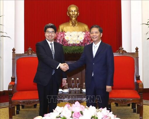 Việt Nam-Nhật Bản đẩy mạnh hợp tác phục hồi kinh tế hậu đại dịch