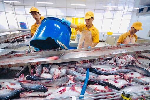 Con đường chinh phục thị trường châu Âu của nông sản Việt