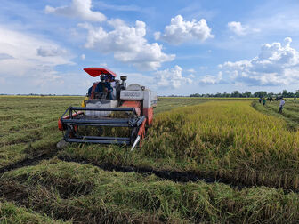 An Giang tạo động lực phát triển công nghiệp nông thôn