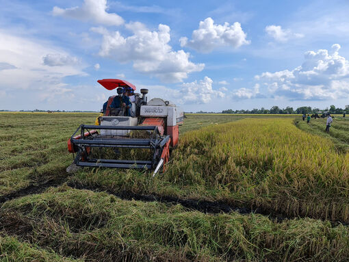 An Giang tạo động lực phát triển công nghiệp nông thôn