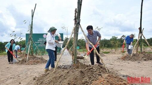 Đồng Tháp: Trồng tre lưu niệm tại bộ sưu tập tre Việt Nam