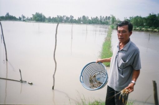 Khai thác nguồn lợi phù sa từ mùa nước nổi