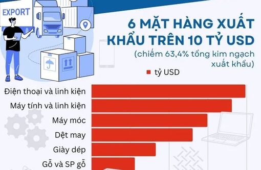 Kim ngạch xuất khẩu hàng hóa ước đạt 250,8 tỷ USD