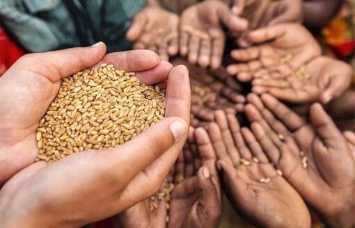 Bảo đảm an ninh lương thực toàn cầu