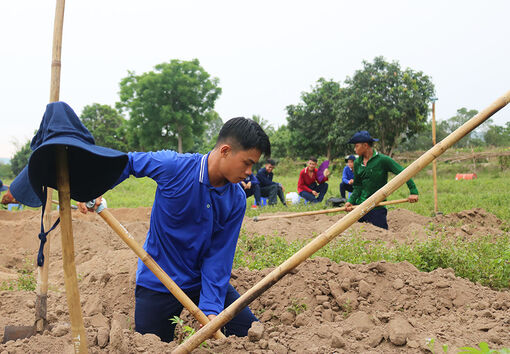 Người đi tìm nghĩa – Kỳ 2: Núi Som ngày nắng cháy