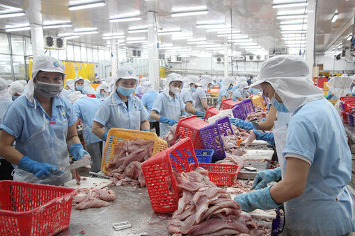 An Giang: Xuất khẩu tiếp tục khởi sắc