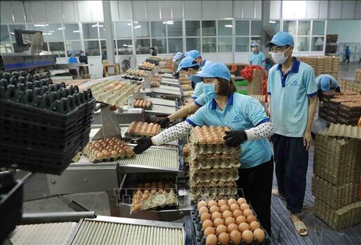 Kinh tế 9 tháng: Ngành nông nghiệp tăng tốc sản xuất để về đích vượt kế hoạch