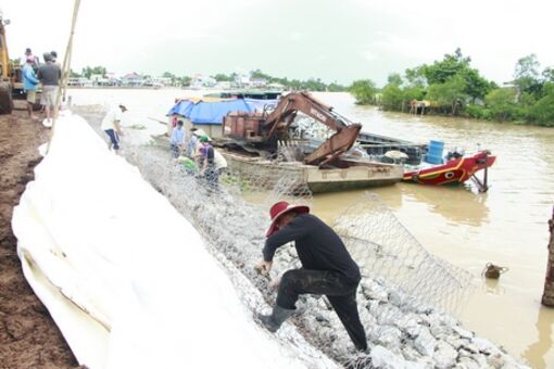 Vĩnh Long: Ứng phó triều cường, mưa giông