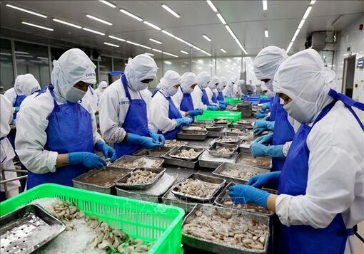 Xuất khẩu thủy sản 9 tháng năm 2022 tăng 38%