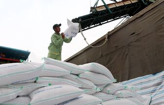 Xuất khẩu gạo Thái Lan có thể vượt mục tiêu bất chấp lũ lụt kéo dài