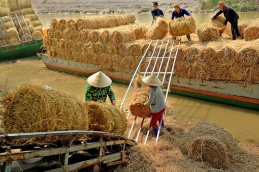 Vĩnh Long: Thúc đẩy khởi nghiệp đổi mới sáng tạo