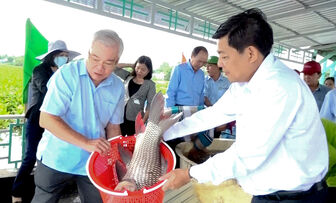 Thả cá xuống Búng Bình Thiên tái tạo nguồn lợi thủy sản tự nhiên