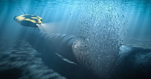 Đức triển khai cảnh sát, quân đội điều tra vụ nổ đường ống Nord Stream