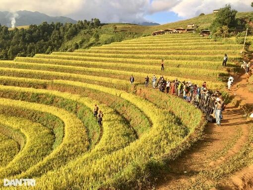 Du khách dậy từ mờ sáng đi săn ảnh đẹp ruộng Mâm Xôi ở Mù Cang Chải