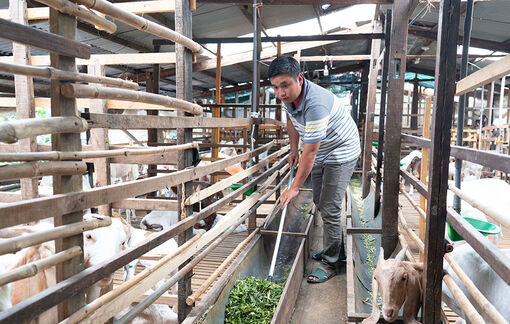 Nông nghiệp Châu Thành nỗ lực duy trì tăng trưởng