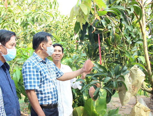 Đổi mới công nghệ, tăng năng suất, nâng cao năng lực cạnh tranh
