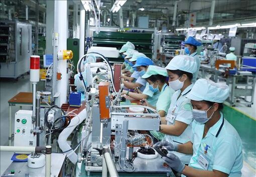Chuyên gia Nga đánh giá về môi trường chính trị và kinh tế của Việt Nam